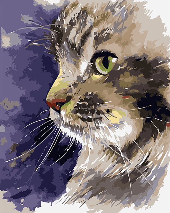 Gato Colores - Kit de Pintura por Números - – Pintala Cuadros