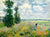 Pintar por números - Campos de amapolas de Monet