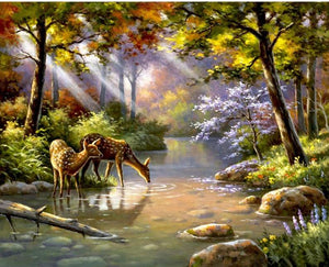 Pintar por n&uacute;meros - Ciervos en el bosque Pinta un cuadro 