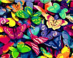Pintar por n&uacute;meros - Mariposas coloridas Pinta un cuadro 